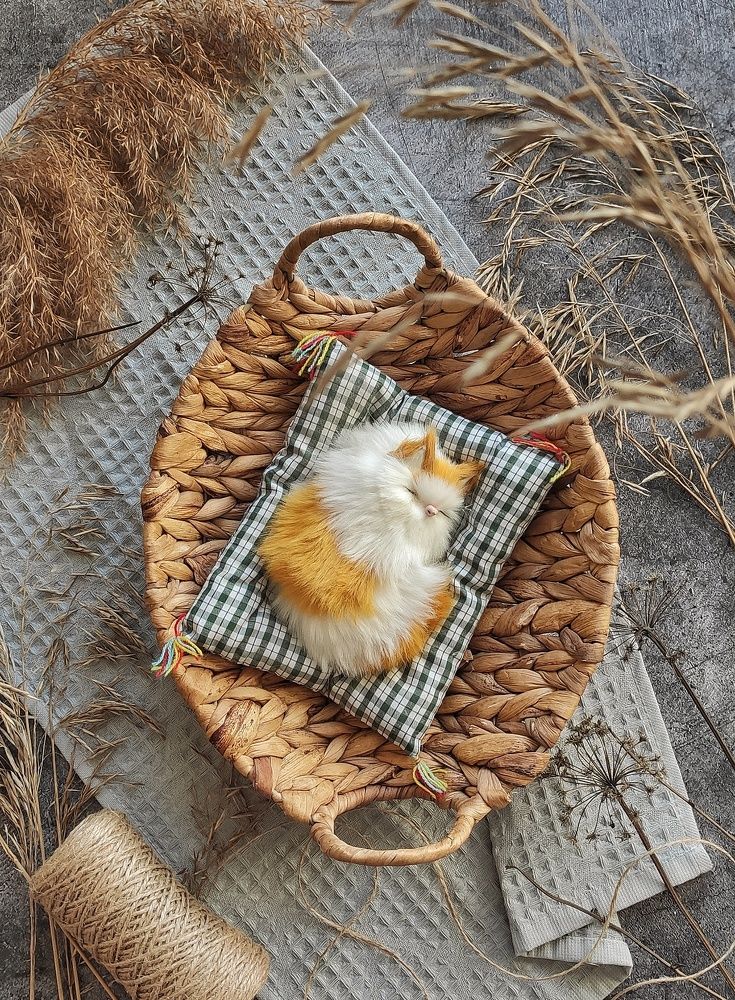 Photograph by Елена Симакина