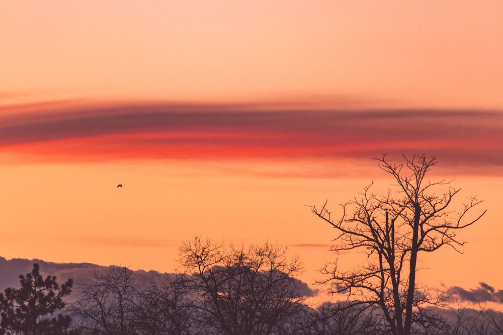 Photograph by Daniel Chobanov