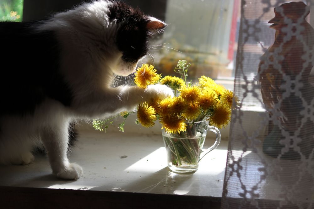 Photograph by Марина Савченко