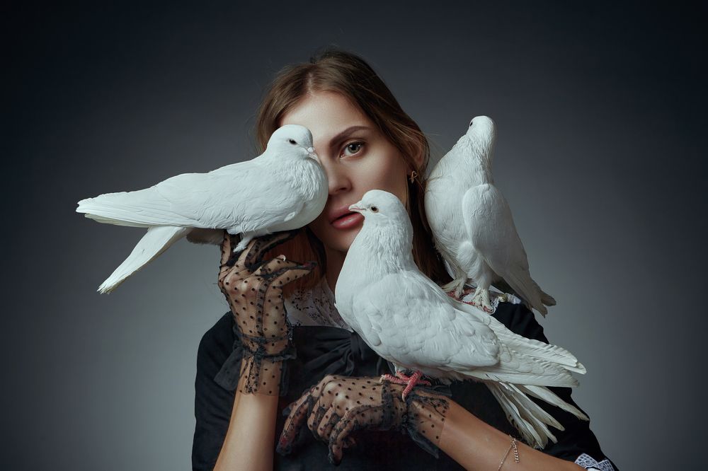 Фотография автора Александр