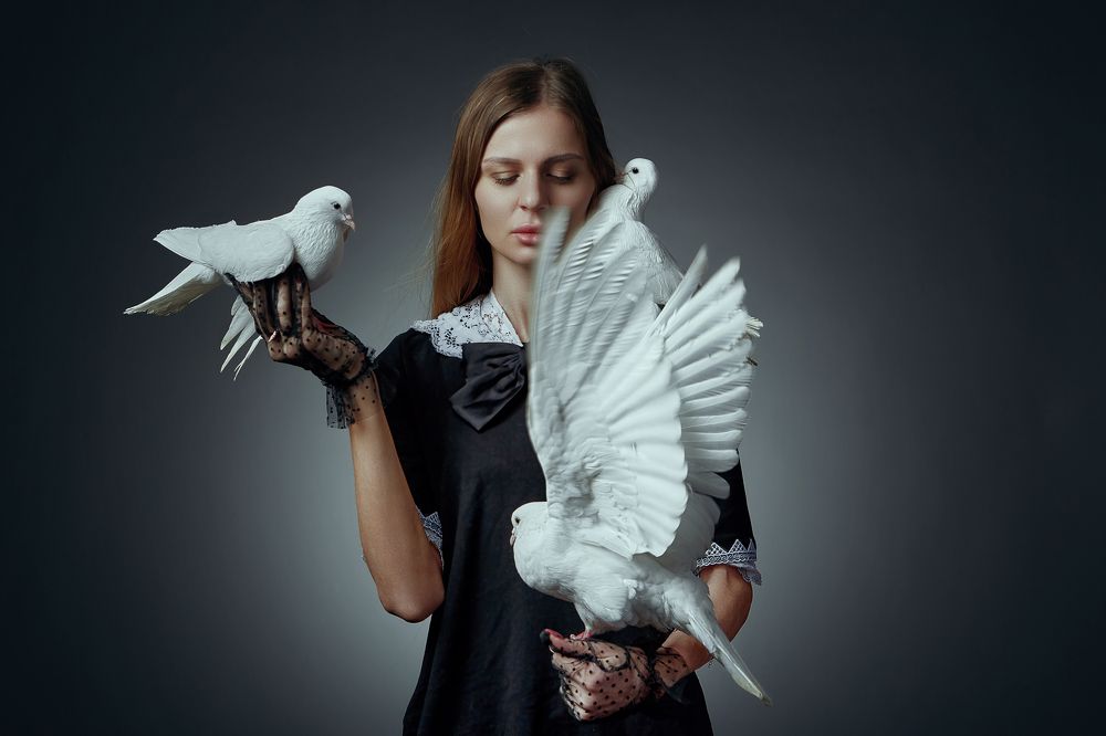 Фотография автора Александр