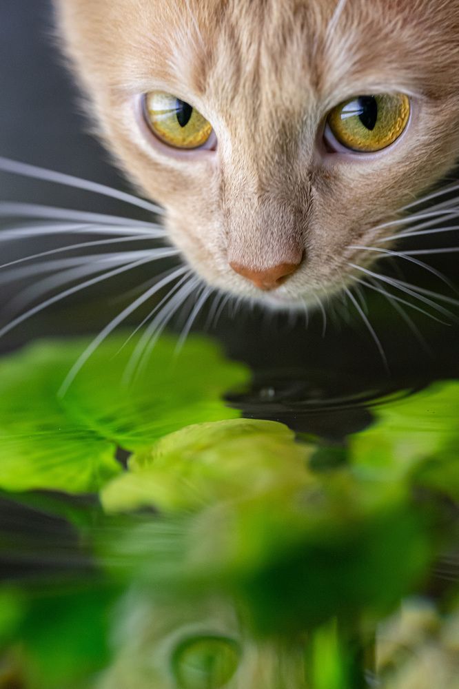 Photograph by Николай Анатольевич