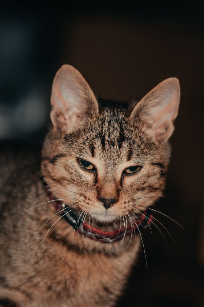 Photograph by Ivan Mandic