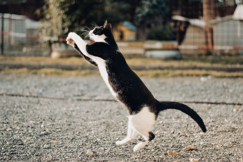 Photograph by Ivan Mandic