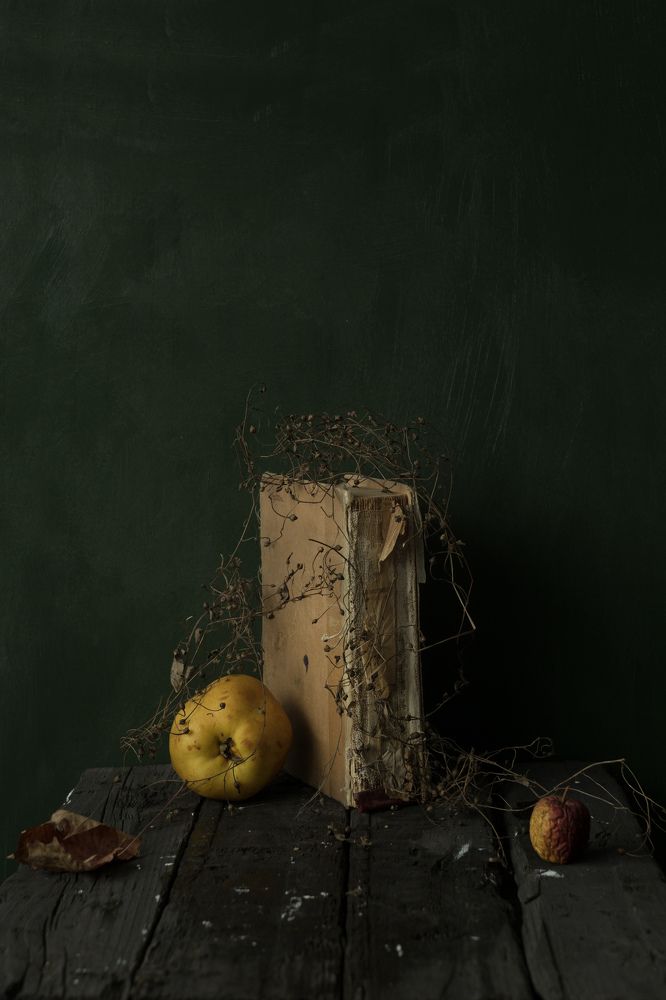 Фотография автора Julia Vikhrova