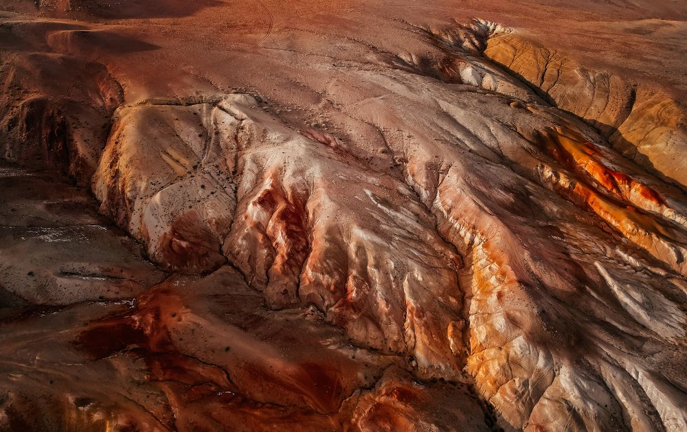 Photograph by Анастасия Сауль