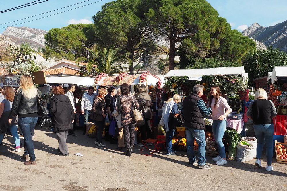 Holiday of wine and bleak in Montenegro 2023