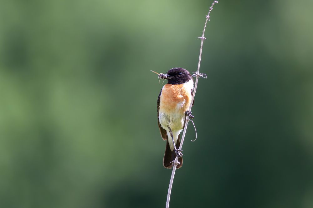 Фотография автора Евгений Гурьевских