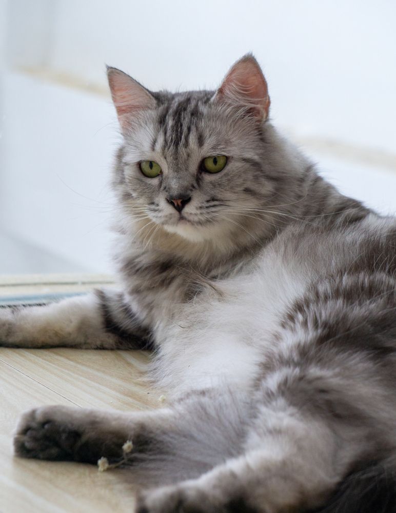 Photograph by Thong Tran Quoc