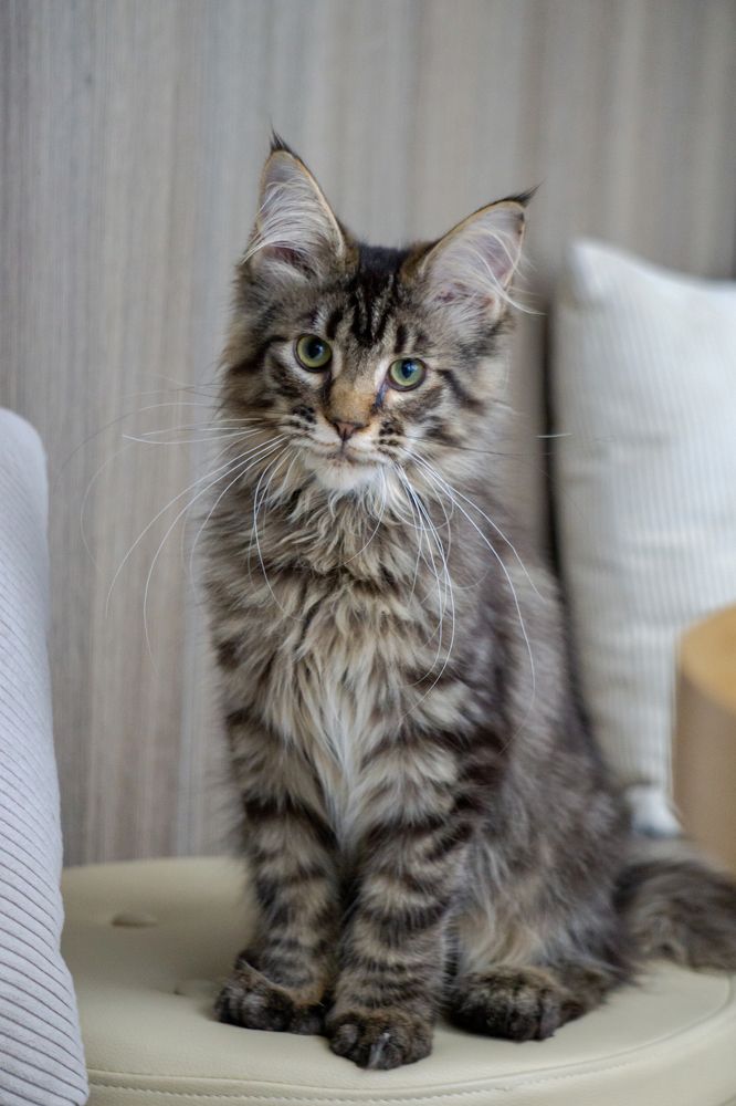 Photograph by Thong Tran Quoc