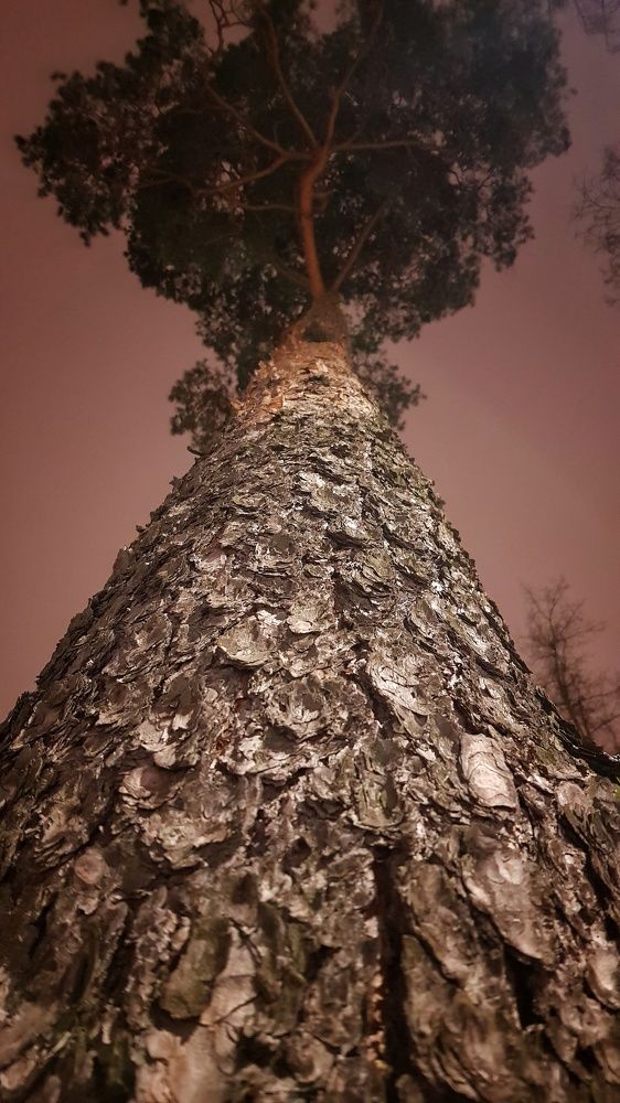 Photograph by Наталья Абилова