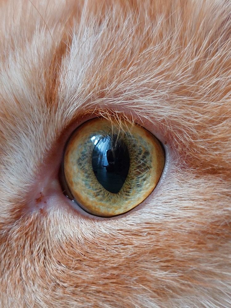 Photograph by Елена Жеребцова