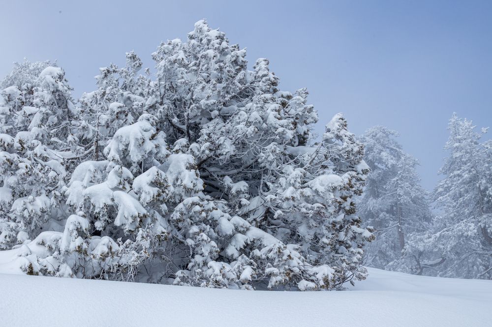 Photograph by Калинин Игорь