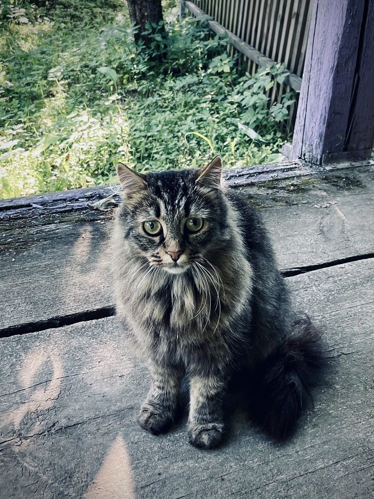 Photograph by Iuliia Akhulkova