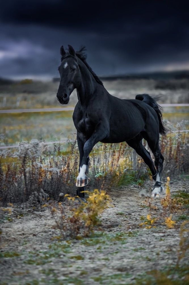 Photograph by Анастасия