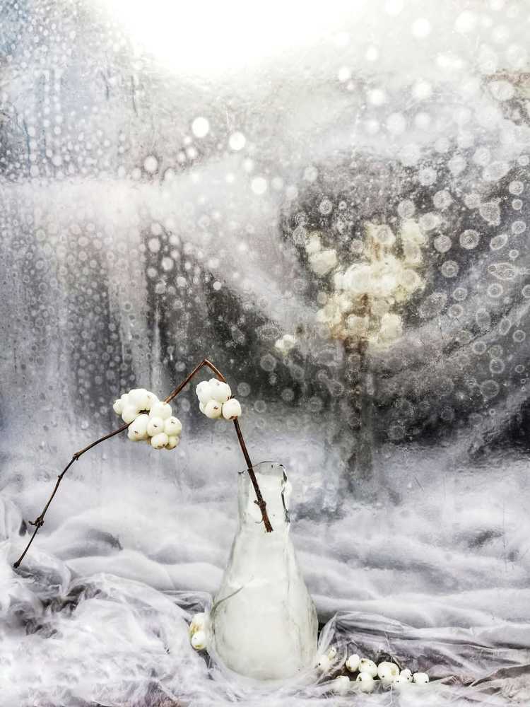 Photograph by Galina Novichkova