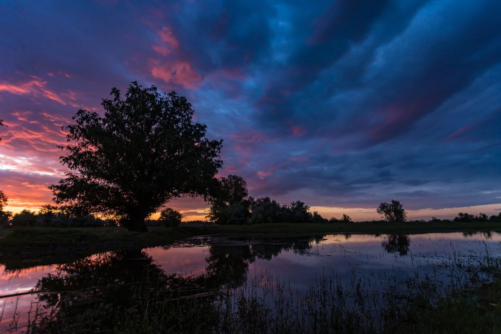 Photograph by Дмитрий Власов