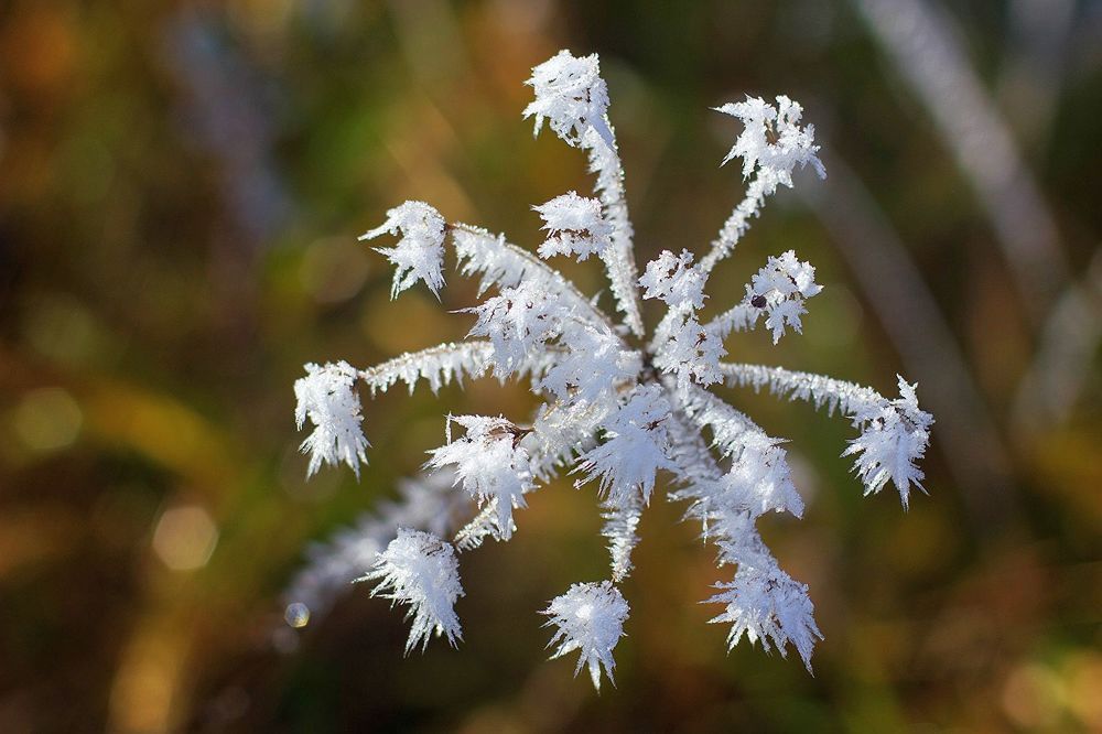 Photograph by Matko Matkovic