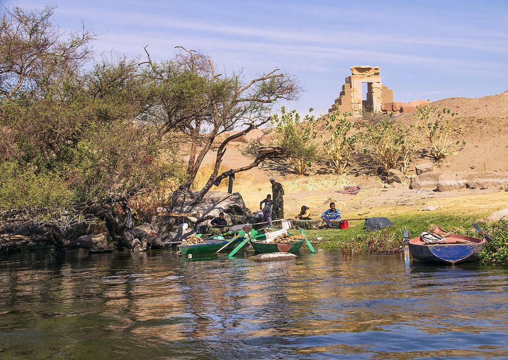 Фотография автора Sherine El Mously