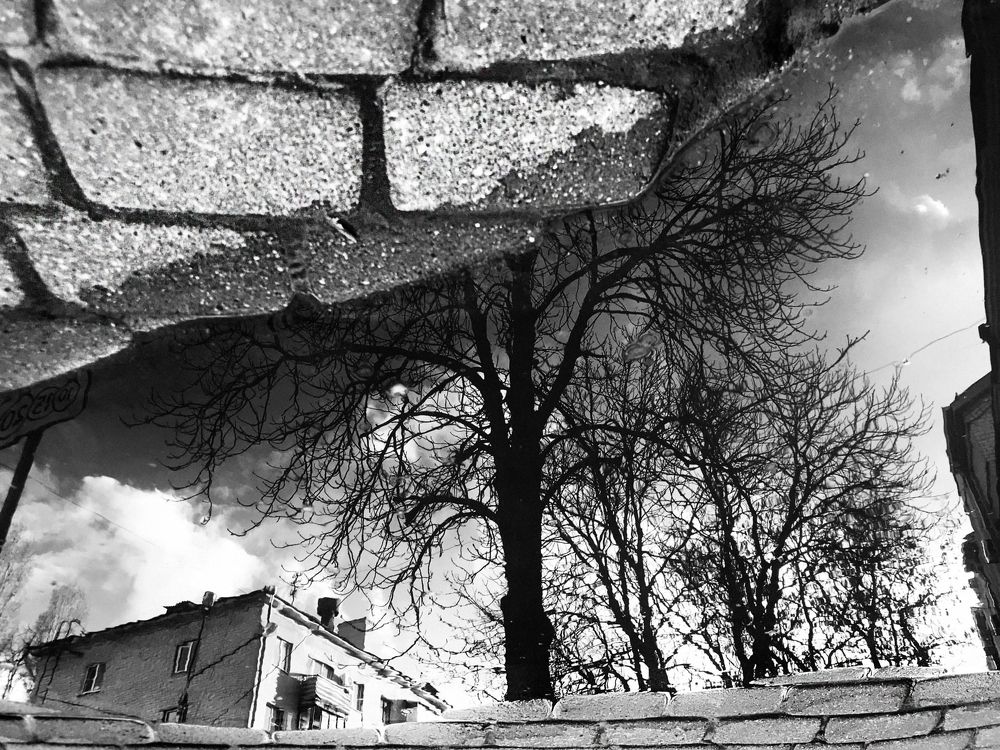 Photograph by Крикуха Любовь