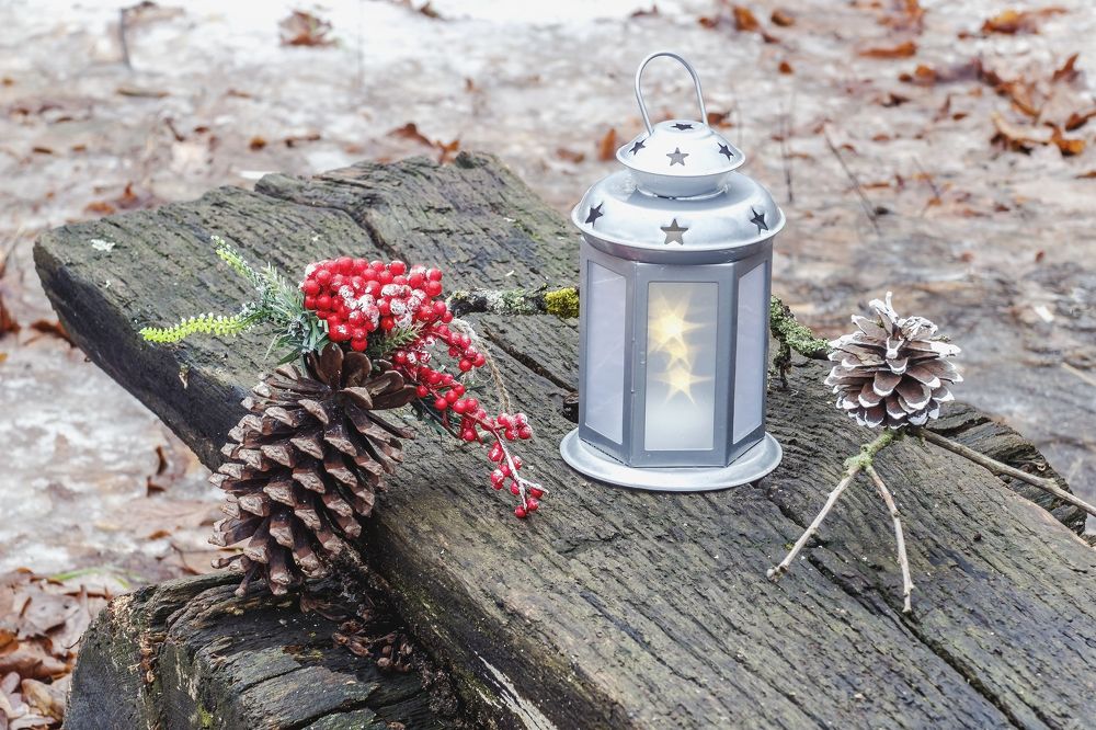 В зимнем лесу в декабре..