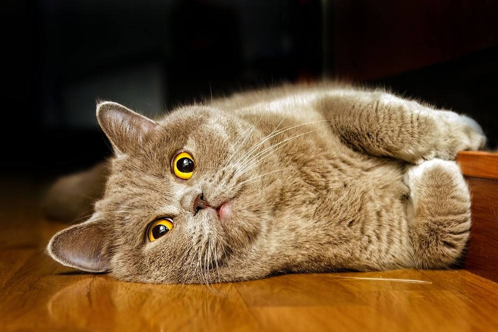 Photograph by Виктор Волынский