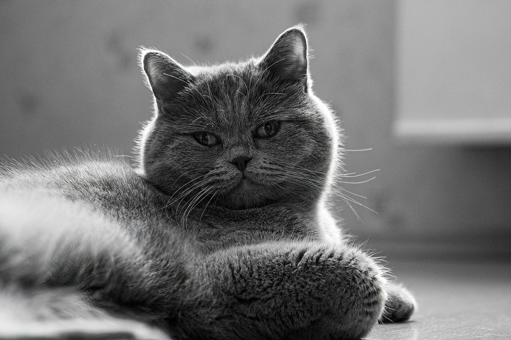 Photograph by Виктор Волынский