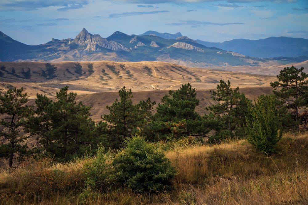 Осеннее утро в Крыму.