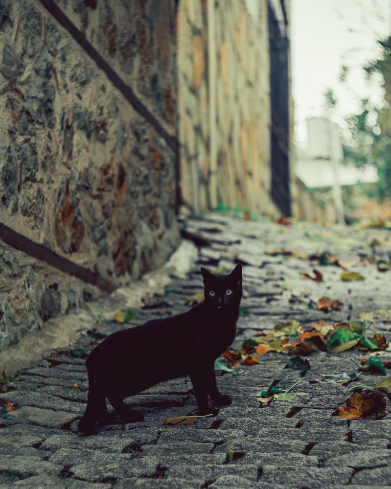 Photograph by Александр Вайсберг