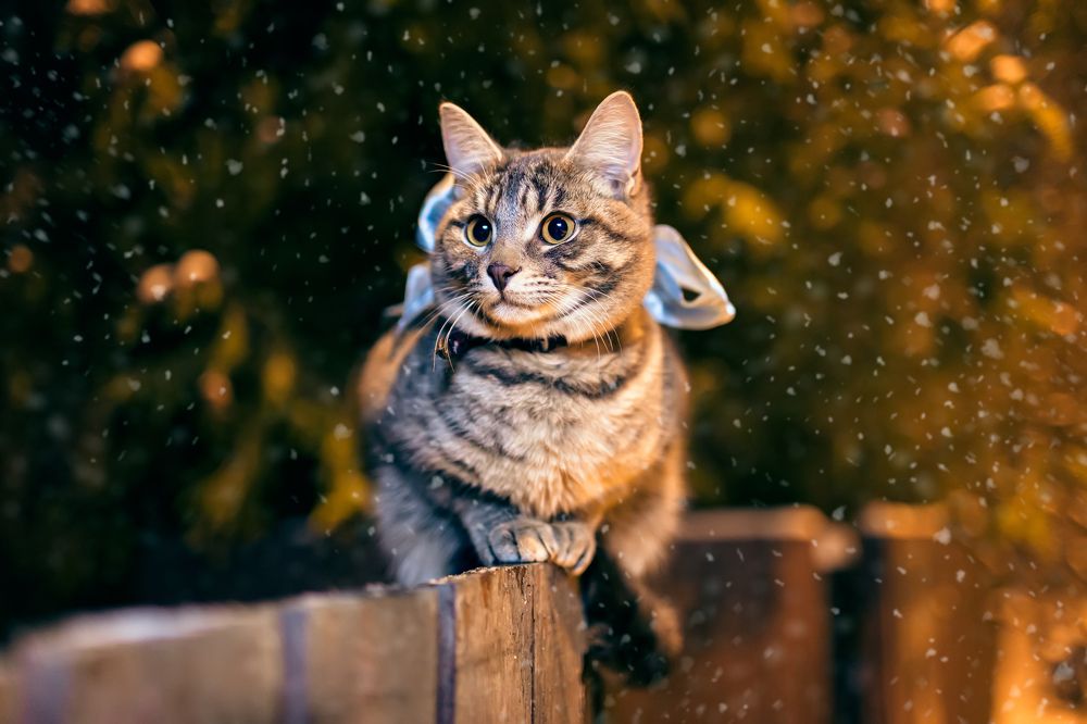 Photograph by Иван Скрыльков