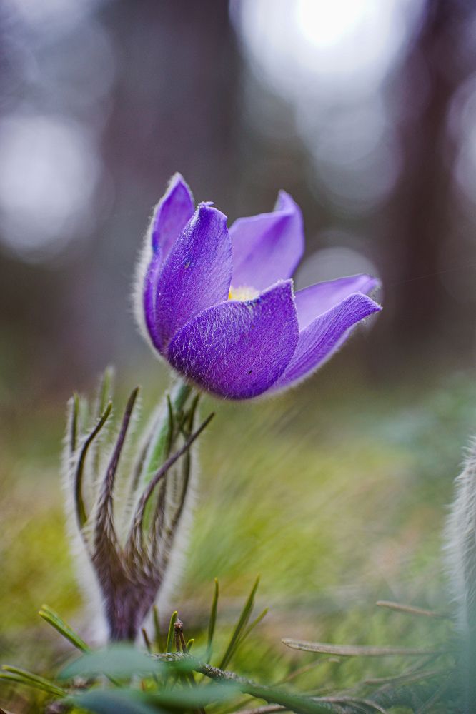 Photograph by Александр Казак