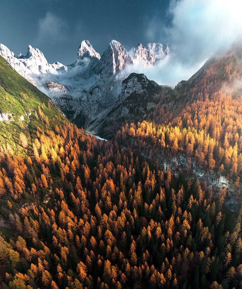 Photograph by Carmine Bonanni