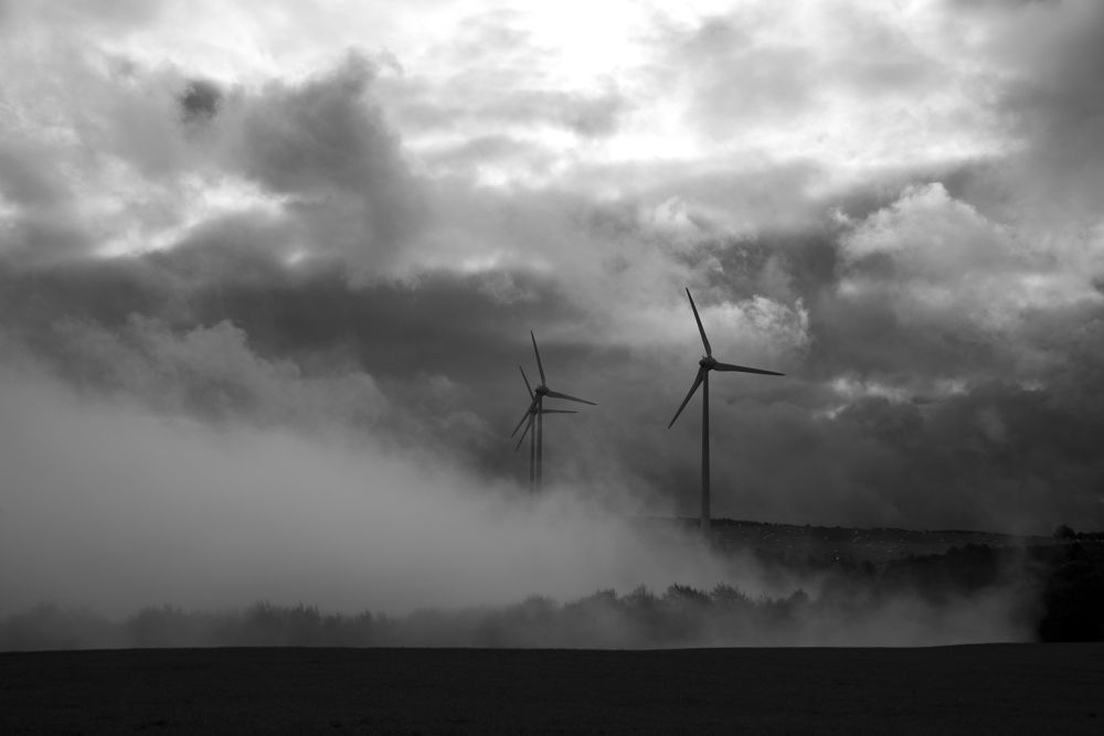 Photograph by Zdeněk Roman