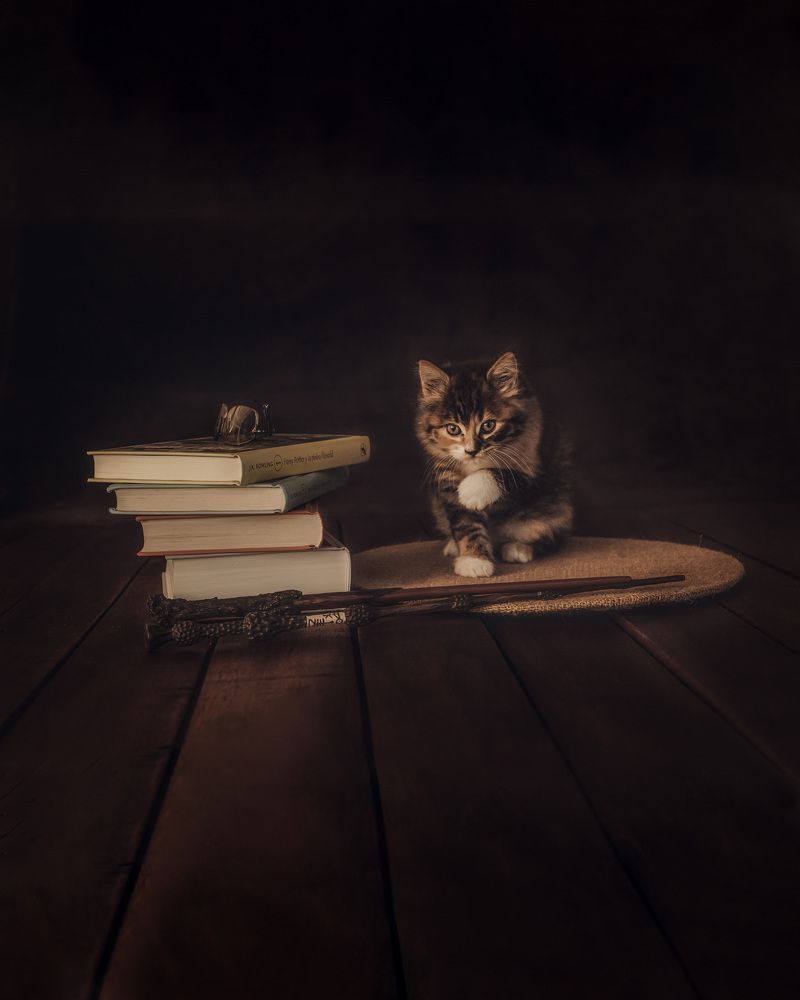 Photograph by Silvana Mestralet