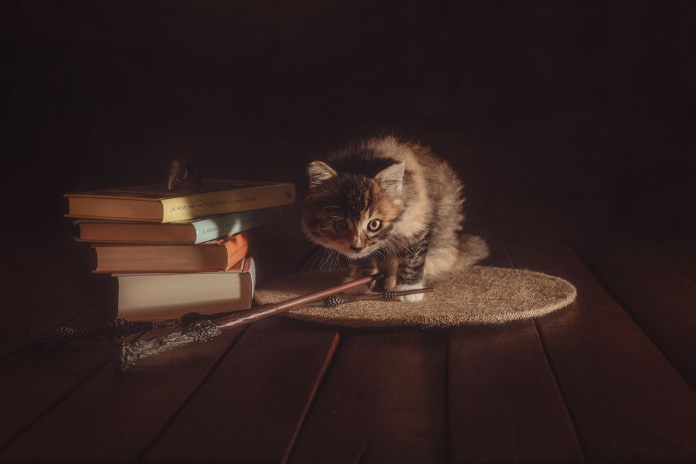 Photograph by Silvana Mestralet