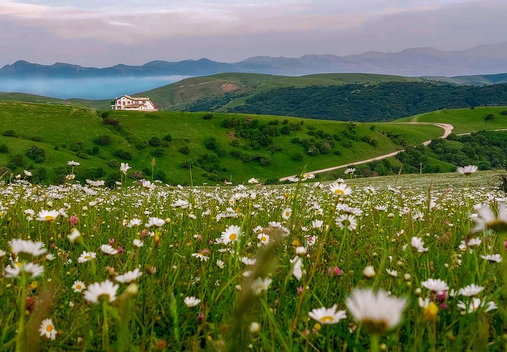 The bride of the plains of Iran