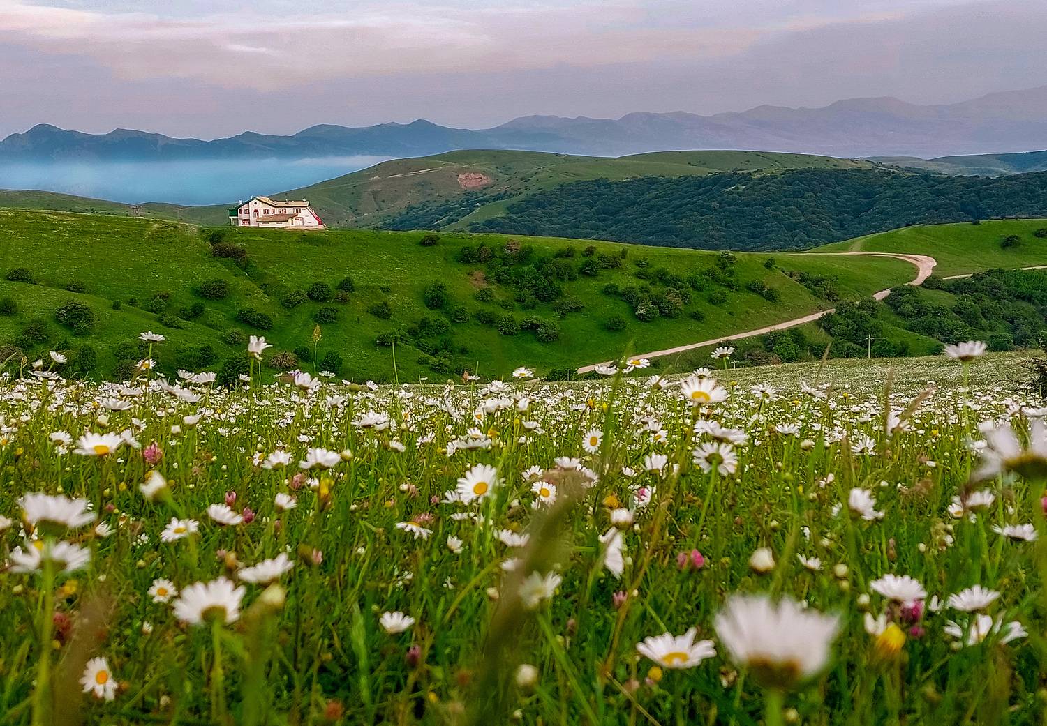 The bride of the plains of Iran