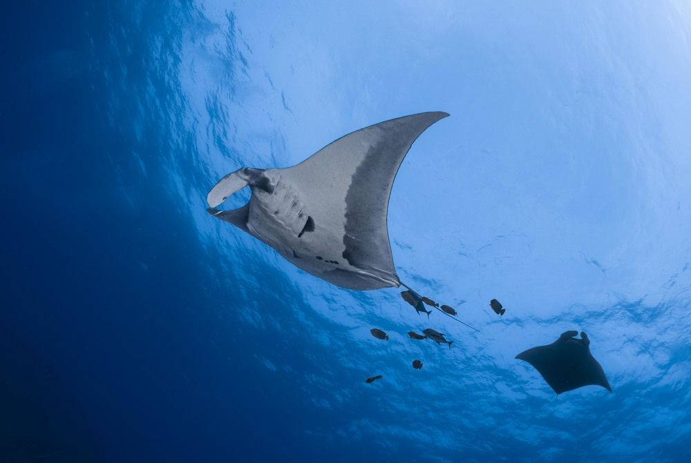 Photograph by Salvatore Di Lauro