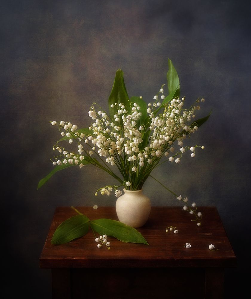 Photograph by Наталия К