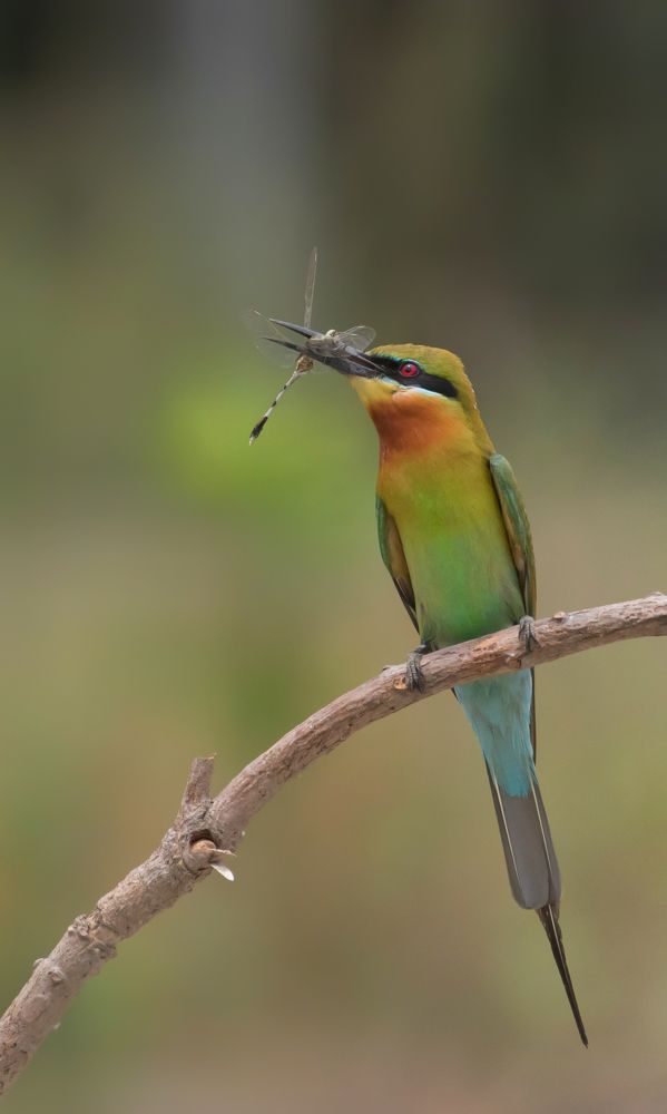 Photograph by Sagar Mondal