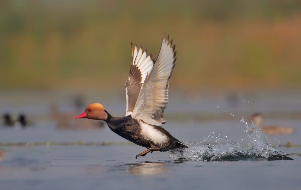 Photograph by Sagar Mondal