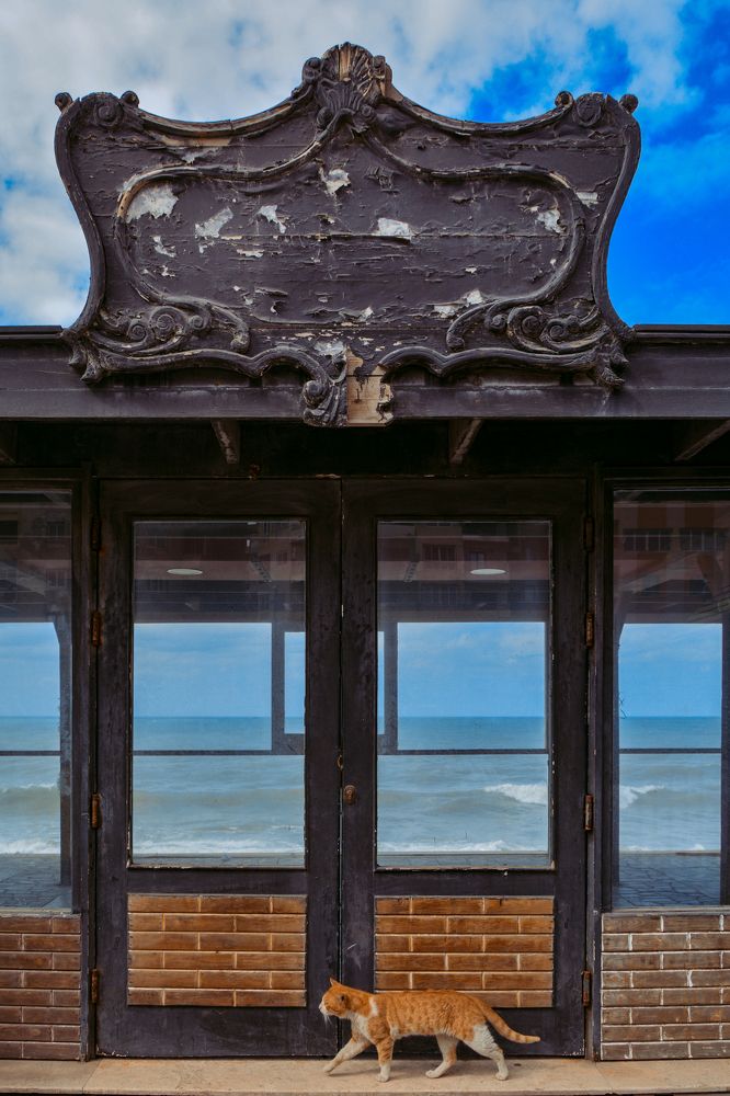 Photograph by Gehad Ahmed