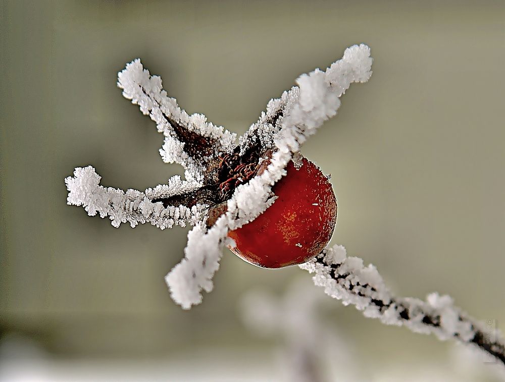 Photograph by Radu Marian