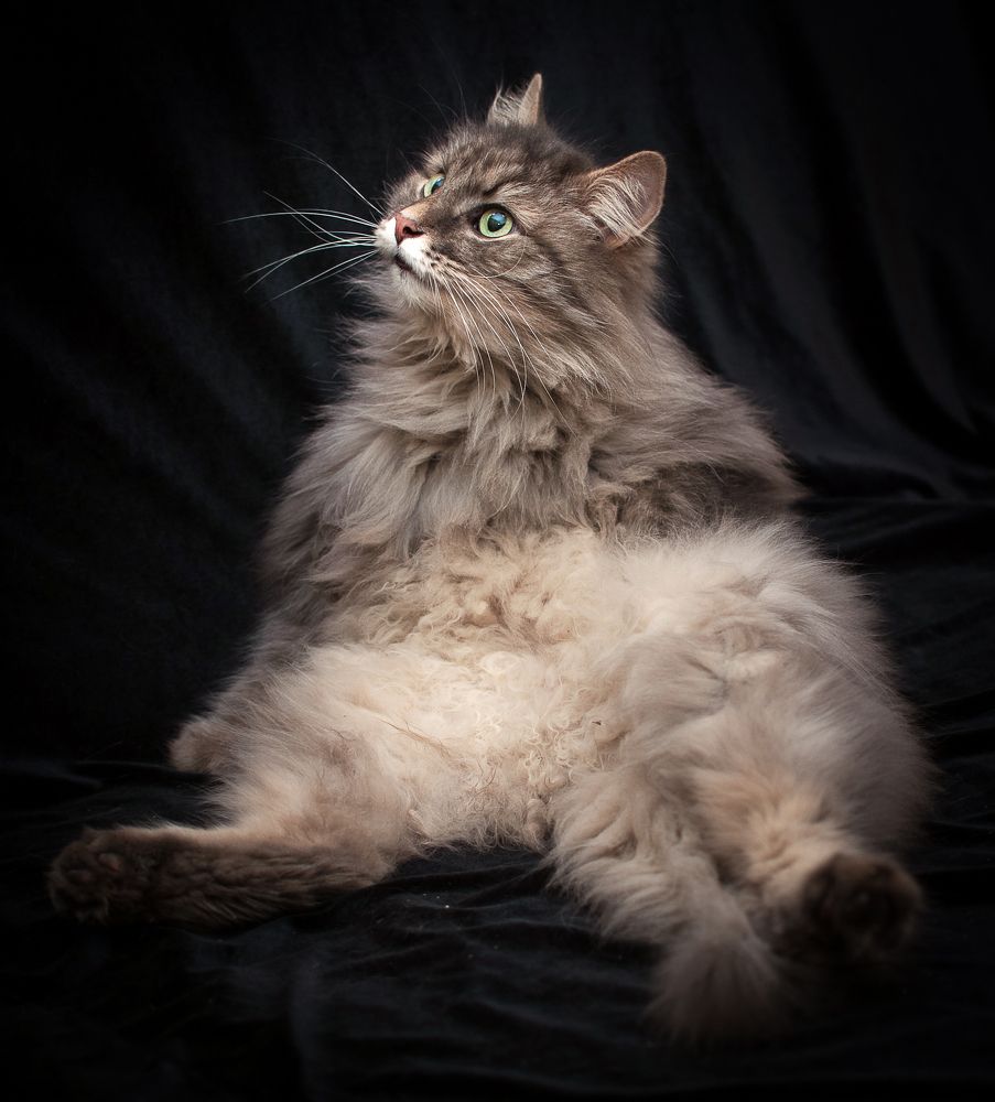 Photograph by Мария Дронова