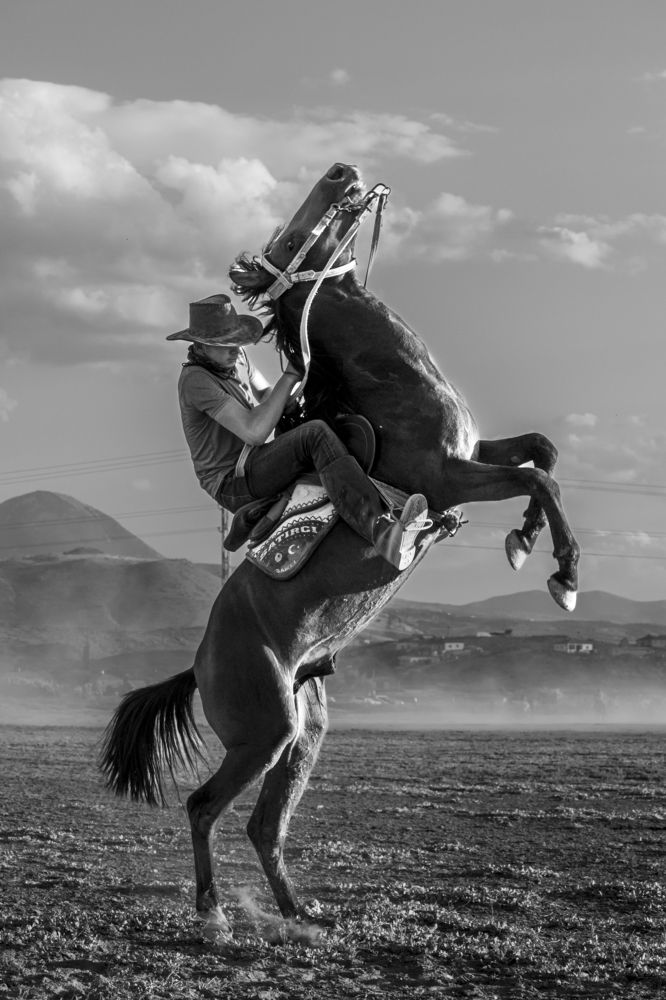 Фотография автора Aylin Turnator