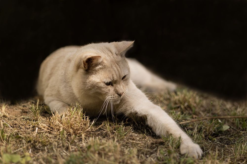 Photograph by Виктория Янушанис