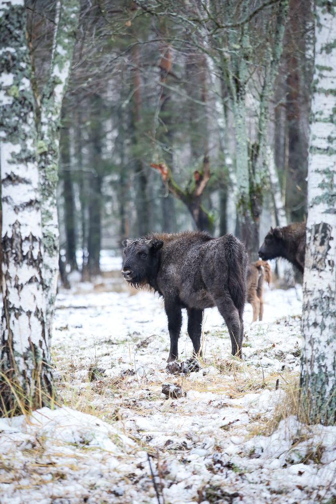 Photograph by Светлана Солдатченкова