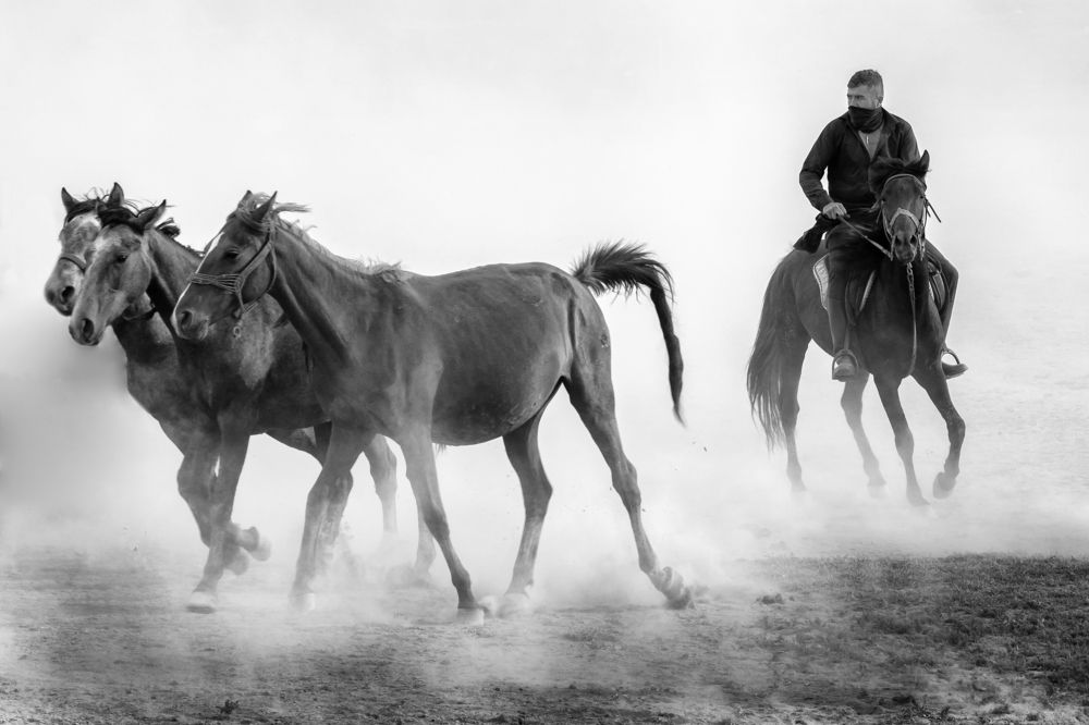 Фотография автора Aylin Turnator