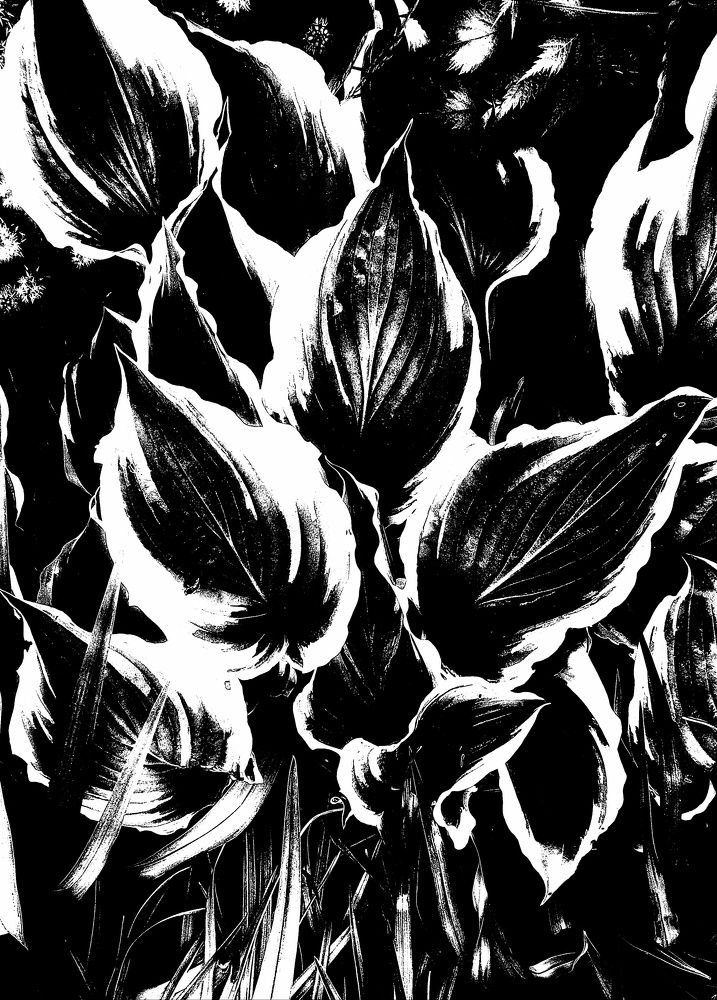 Photograph by Людмила М