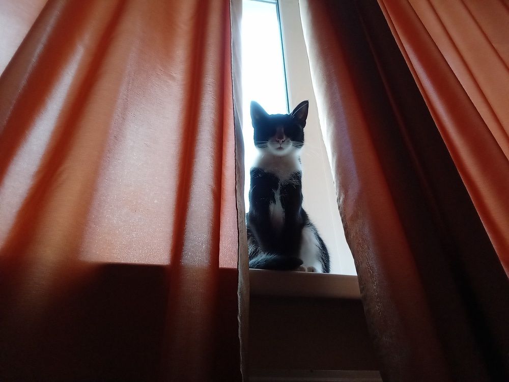 Photo #8834018